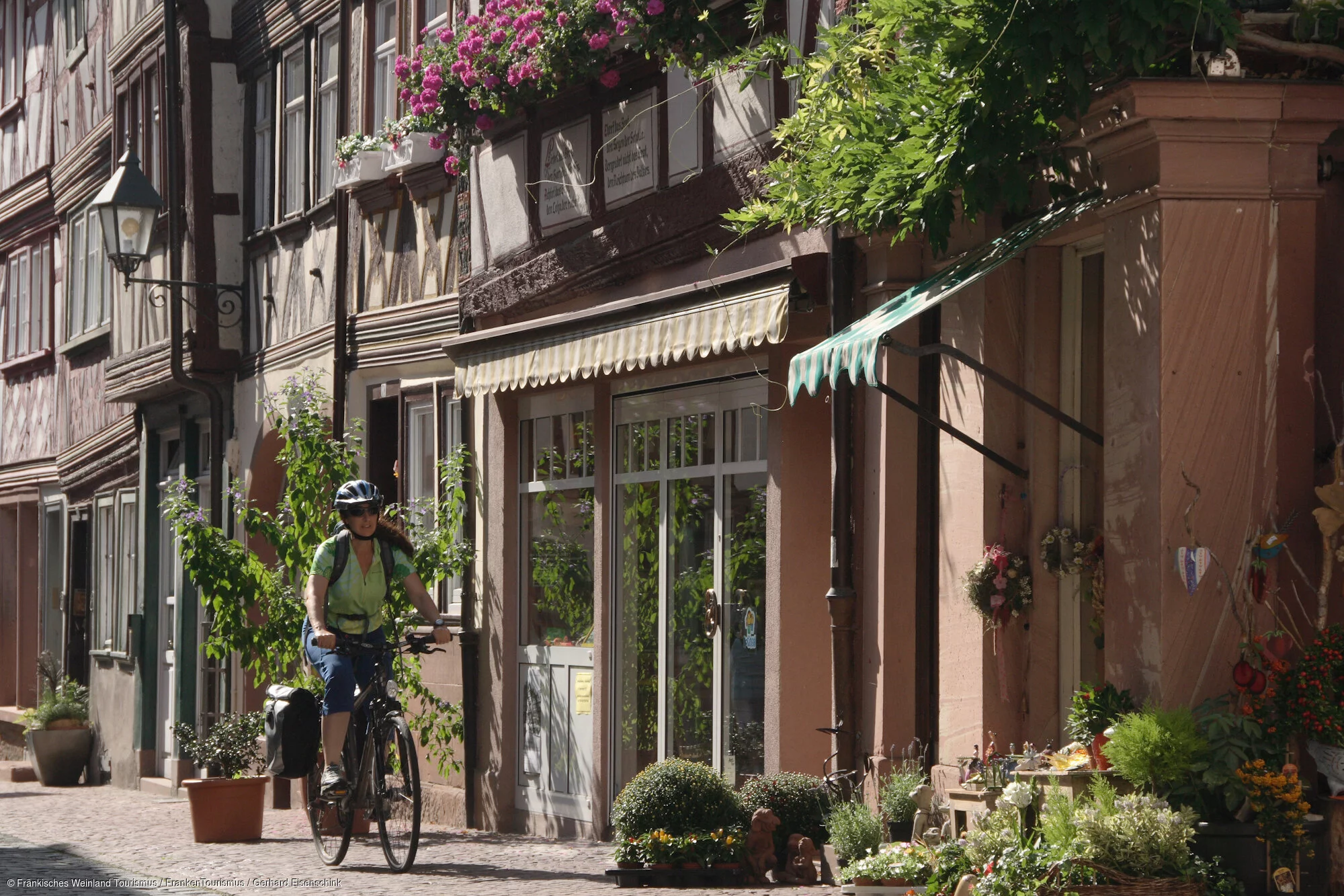 Main-Radweg