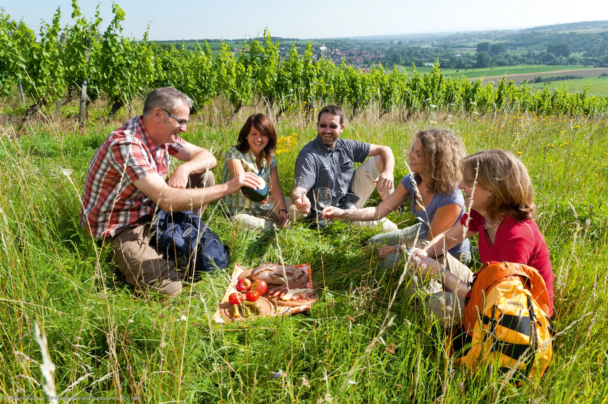 Picknick in den Sulzfelder Weinbergen