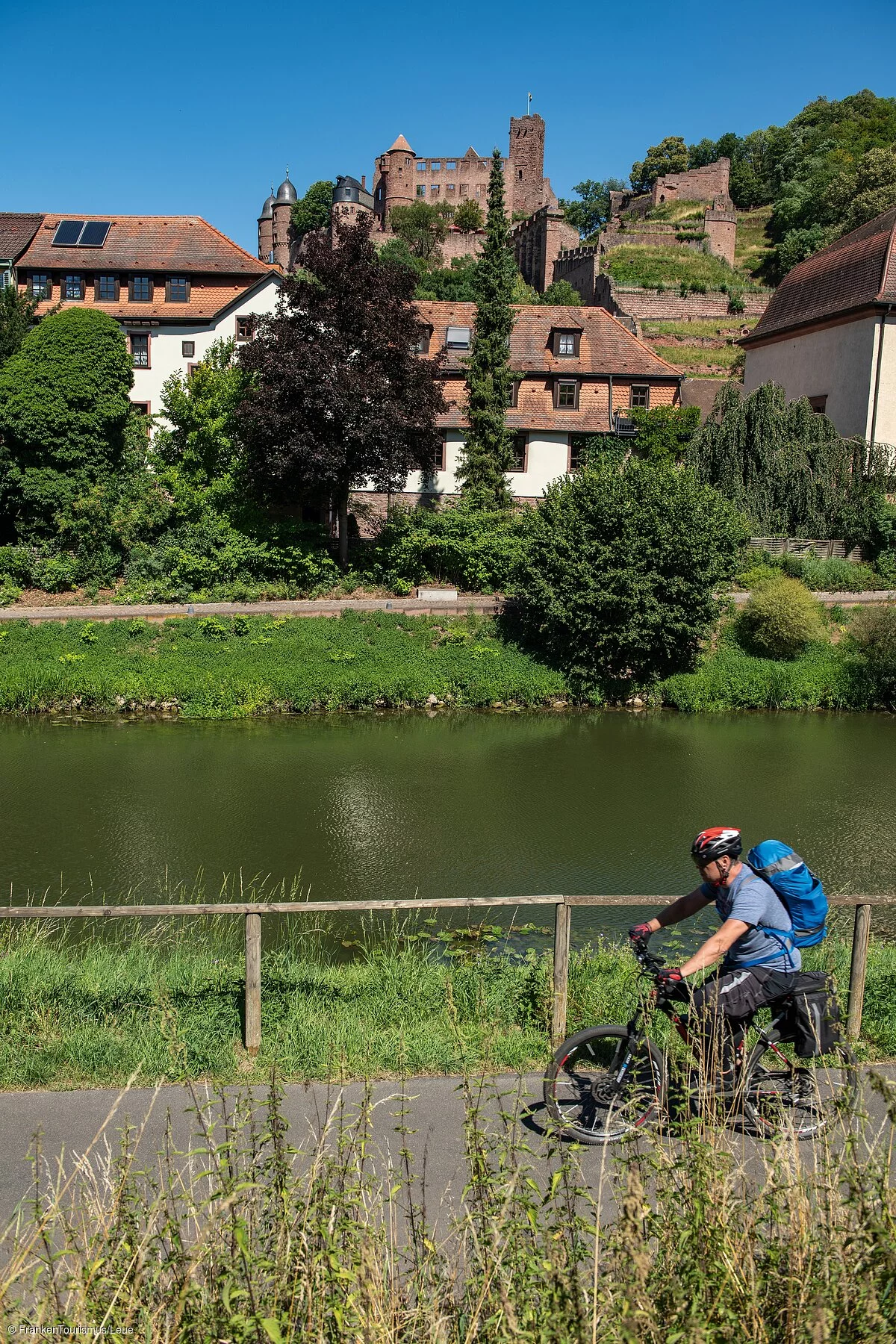 Fahrradtour - Radler am MainRadweg, im Hintergrund Burg Wertheim