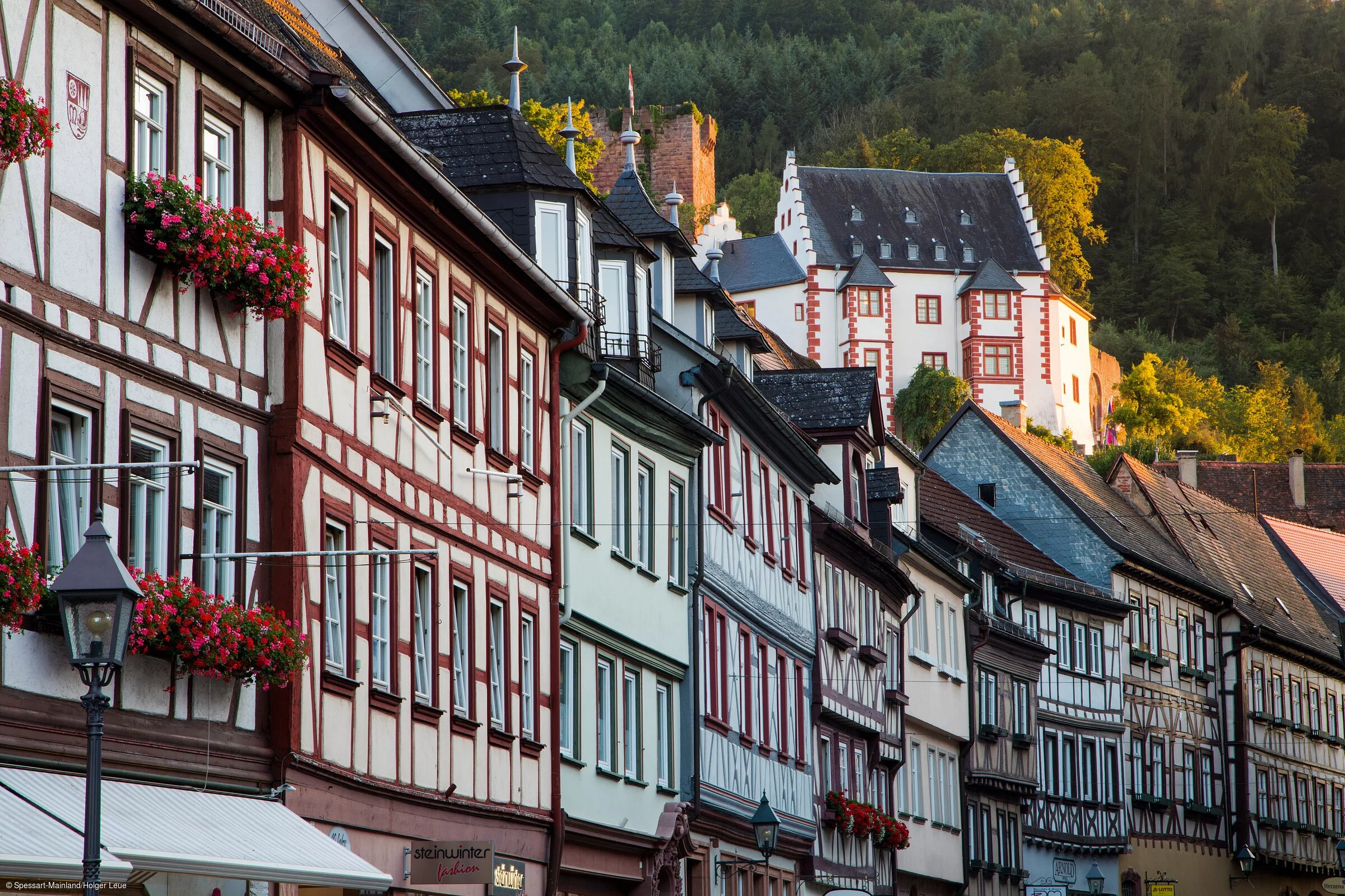 Fachwerk und Mildenburg