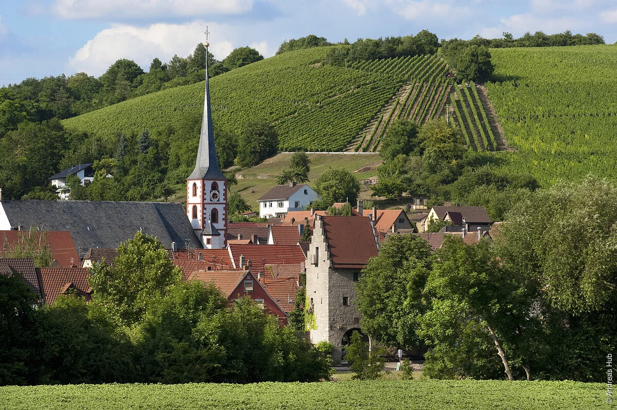mytems - Frickenhausen