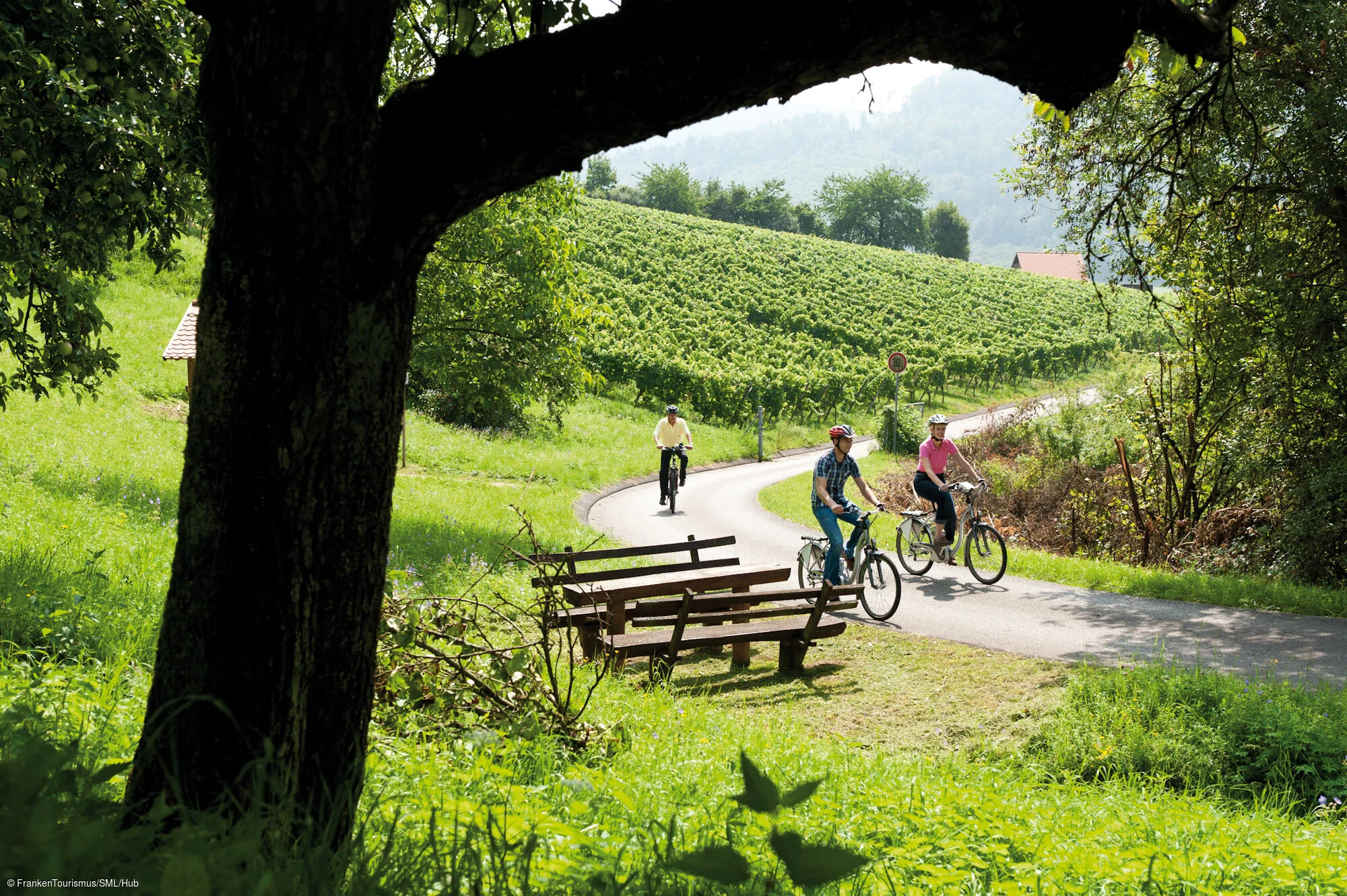 Radtour in den Bürgstadter Weinbergen
