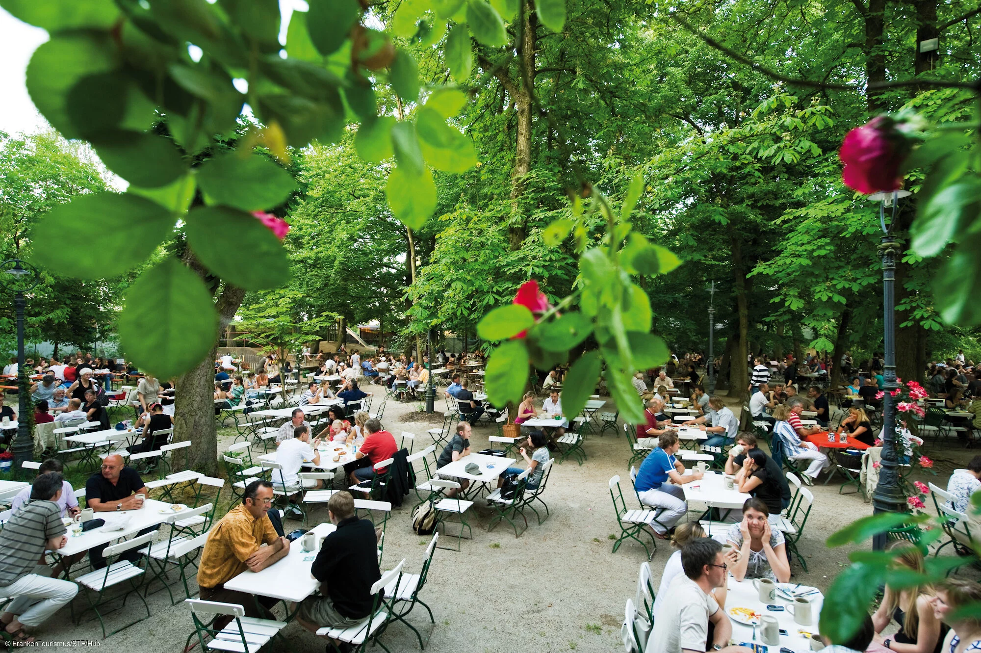 Biergarten "Wilde Rose" in Bamberg