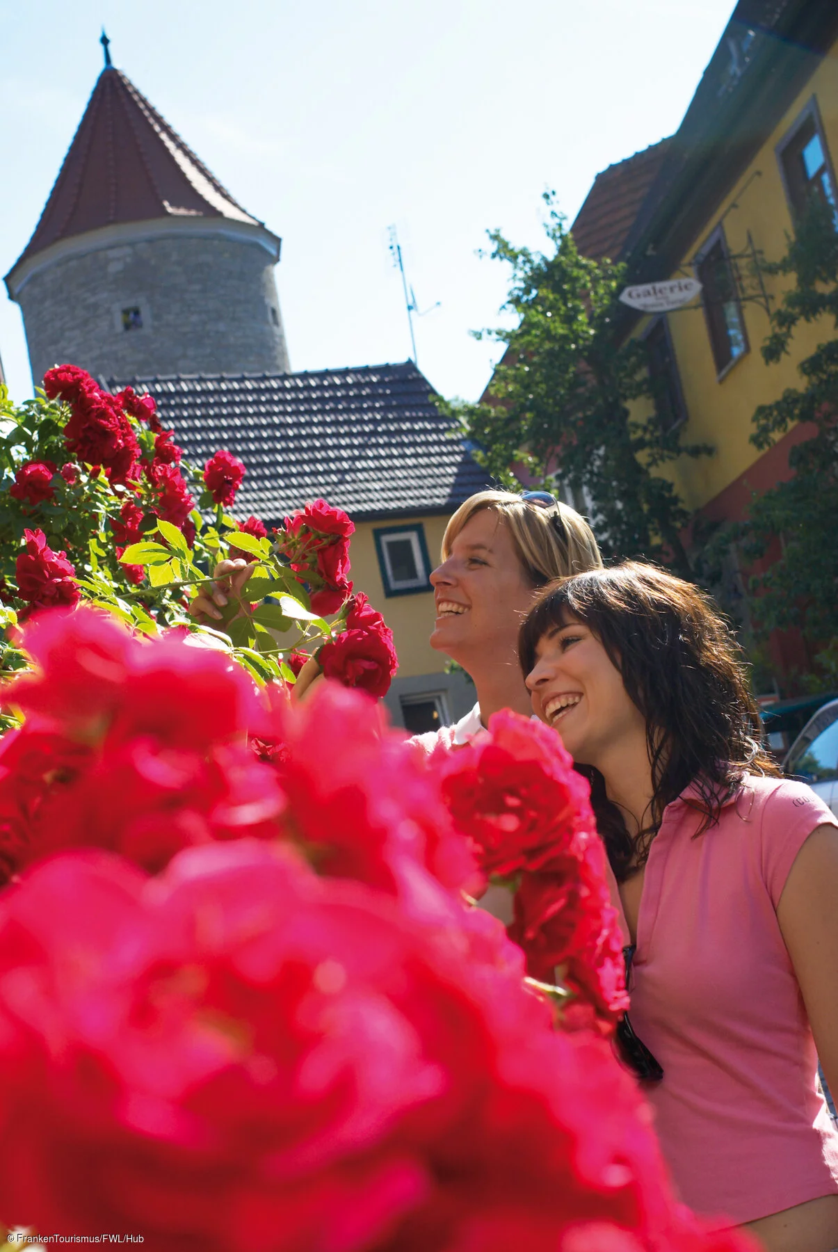 Sommerhausen, Frauen vor Rosenstrauch