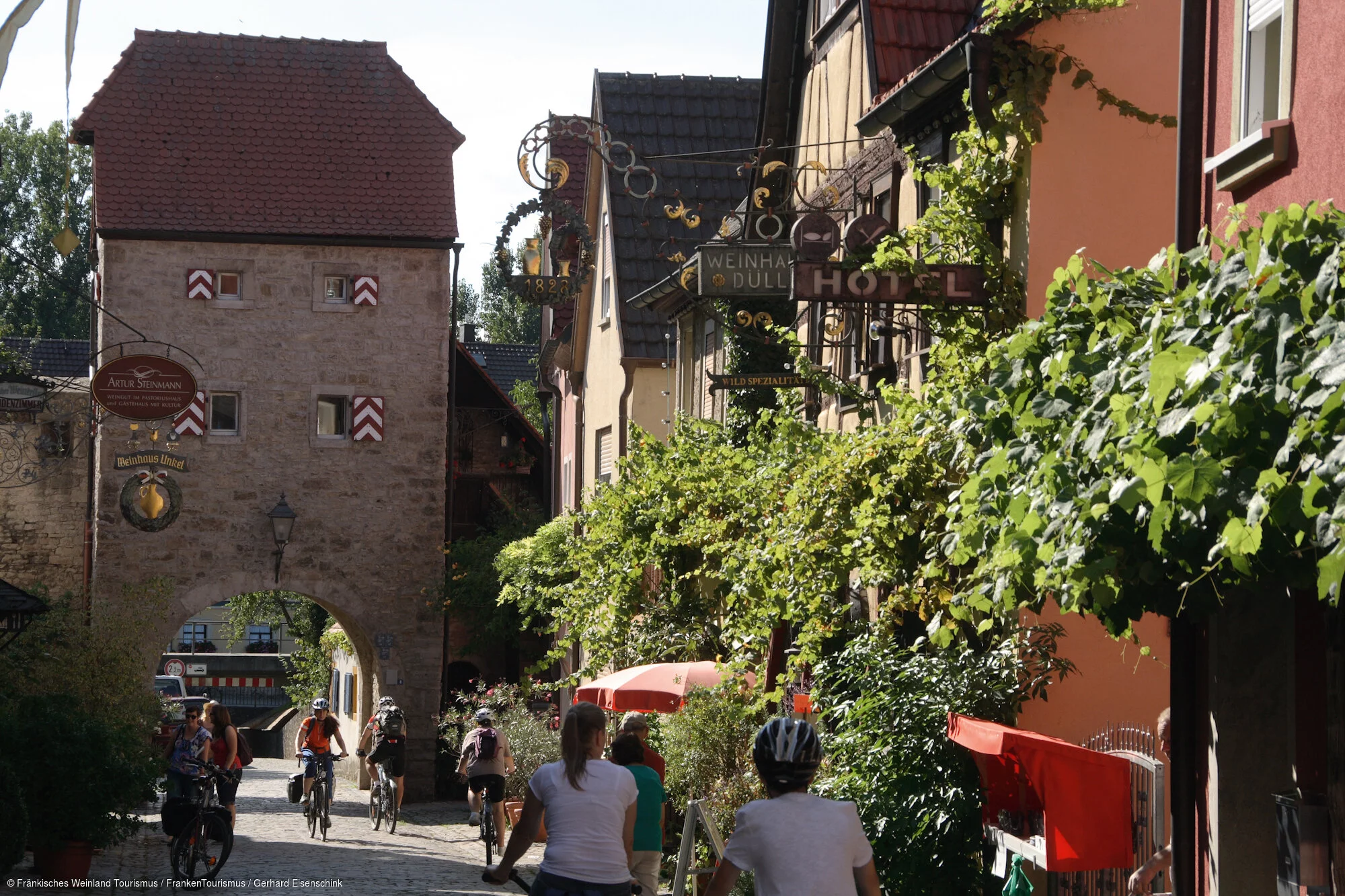 Radlerin in Sommerhausen