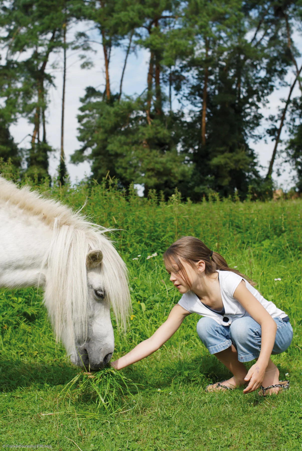 Mädchen mit Pferd bei Volkach