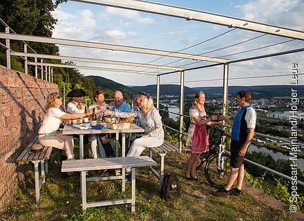 Picknick in den Weinbergen