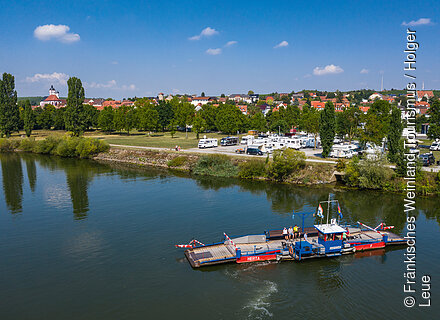 Die Mainfähre bei Dettelbach (Dettelbach/Fränkisches Weinland)