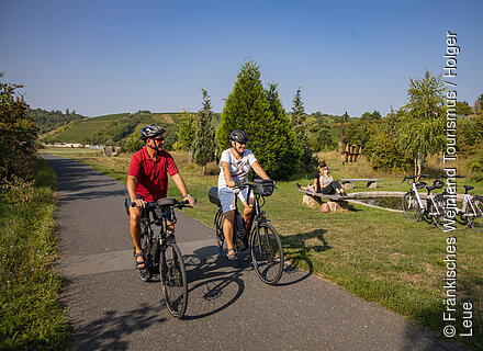 Radfahren auf dem Mainradweg (Dettelbach/Fränkisches Weinland)