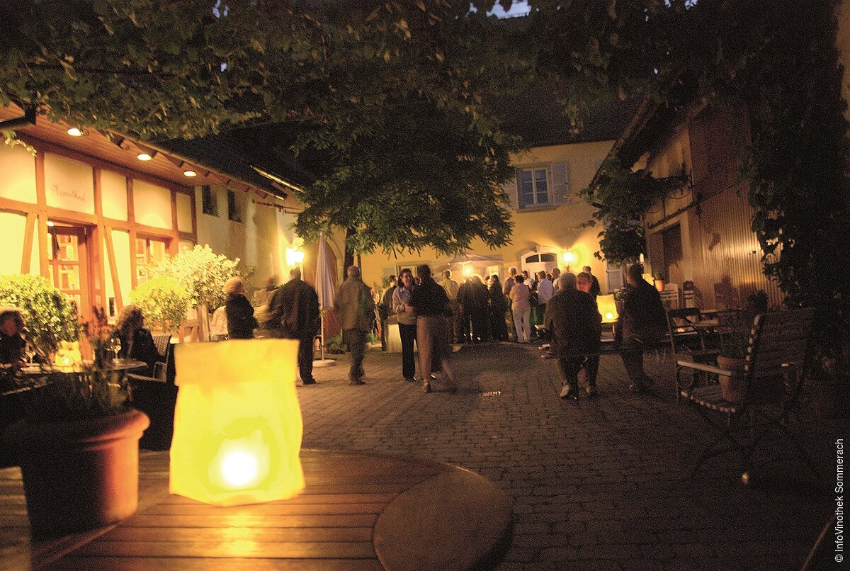 Silvaner bei Nacht (Sommerach a.Main, Fränkisches Weinland)