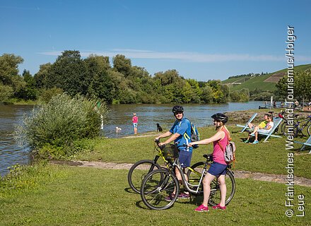 Am MainRadweg (Randersacker/Fränkisches Weinland)