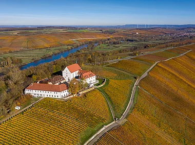 Herbststimmung an der Vogelsburg - Volkacher Mainschleife