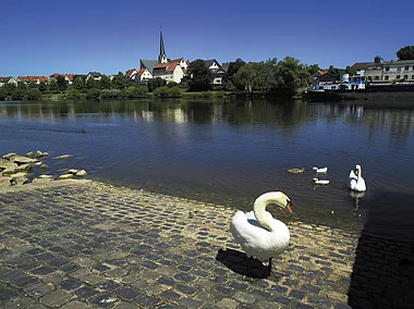 Blick auf Erlenbach und Main