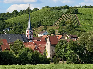 Frickenhausen Landschaftsimpressionen