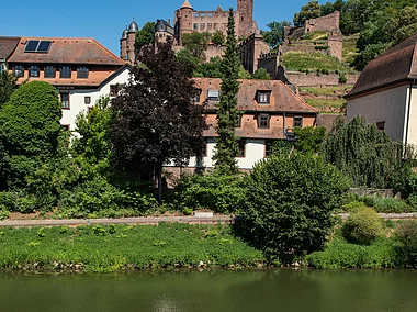 Fahrradtour - Radler am MainRadweg, im Hintergrund Burg Wertheim