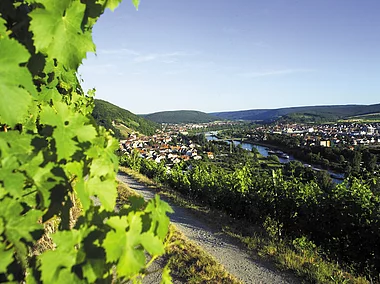 Weinberge bei Klingenberg