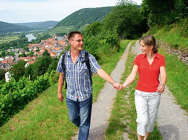 Fränkischer Rotwein Wanderweg bei Großheubach