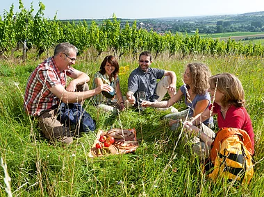 Picknick in den Sulzfelder Weinbergen