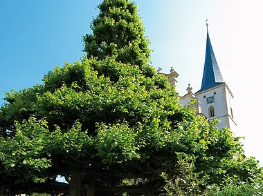 Stufenlinde und Kirche