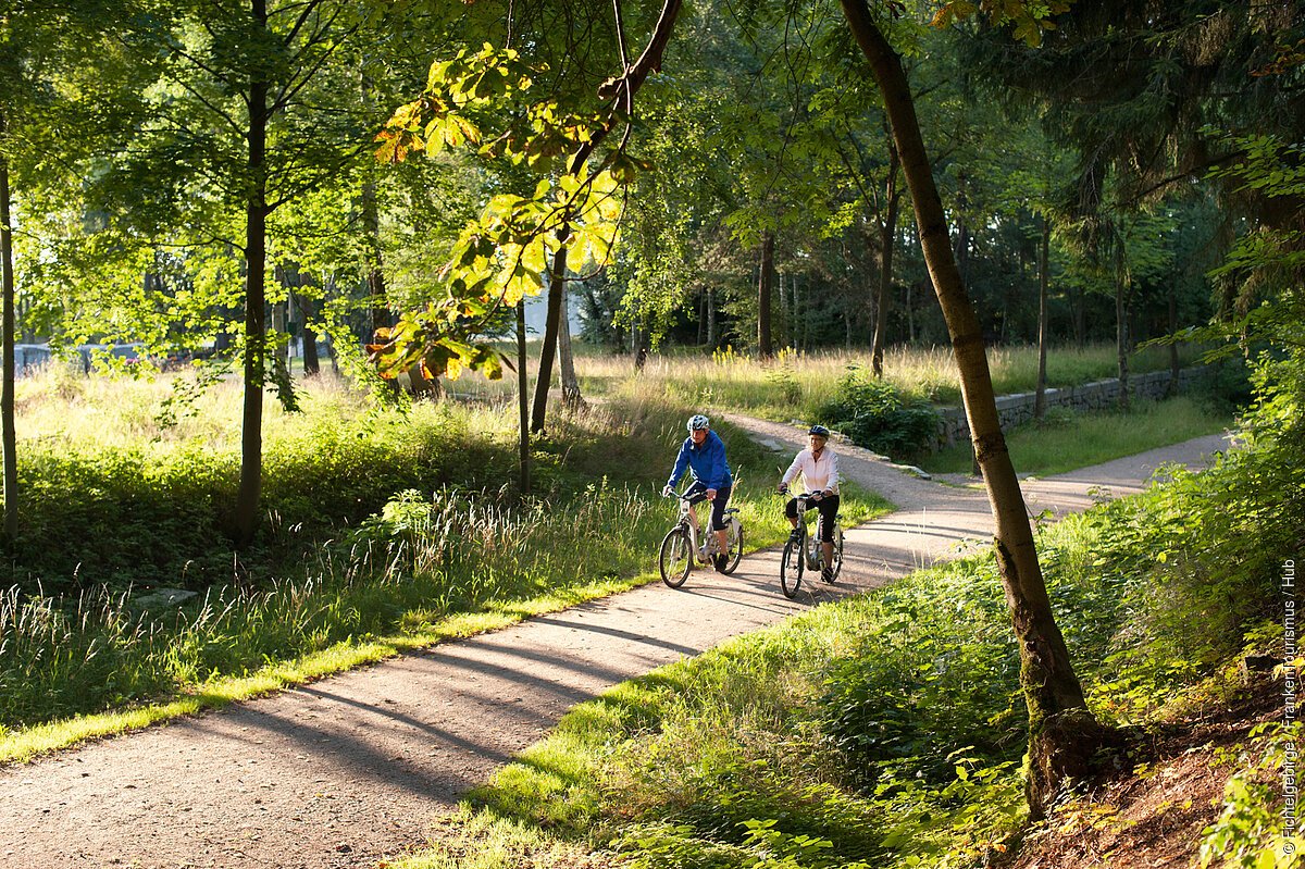 Zwei Radfahrende radeln im Sonnenschein auf einem Radweg zwischen grünen Bäumen