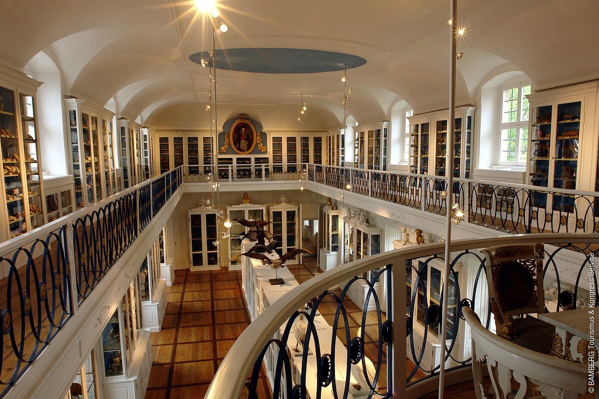 "Vogelsaal" im Naturkundemuseum