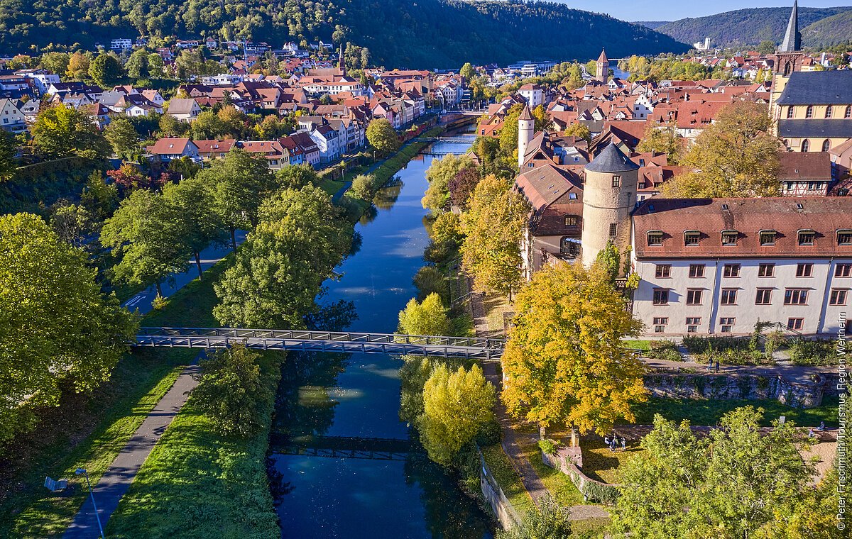 Luftaufnahme Wertheim mit Fluss, Brücken, Bäumen und historischen Gebäuden.