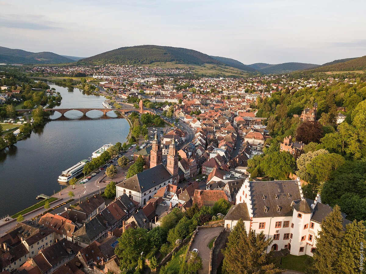Luftaufnahme einer Stadt mit Fluss, Brücke, Kirche und umliegenden Hügeln.