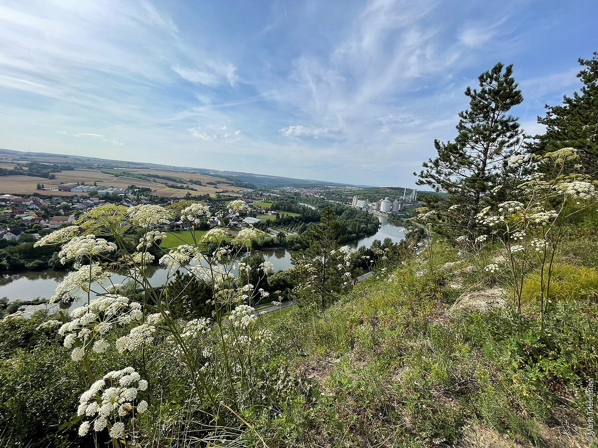Blick von einem Hang mit weißen Blüten auf einen Fluss, Häuser, Felder unter blauem Himmel.