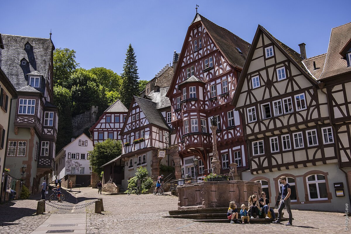 Schnatterloch (Miltenberg, Spessart-Mainland) Historische Fachwerkhäuser an gepflastertem Platz mit Brunnen und Menschen bei sonnigem Wetter.
