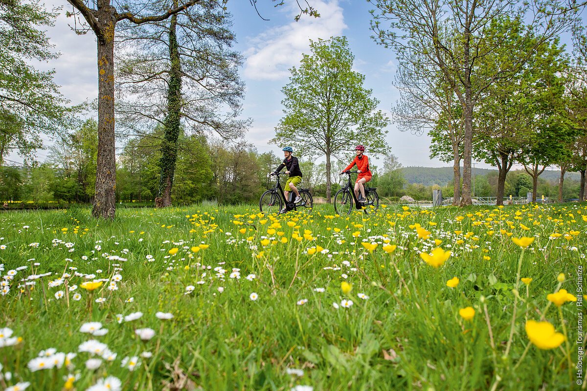 Zwei Personen fahren mit Fahrrädern auf einem Weg neben einer Wiese mit gelben und weißen Blumen unter Bäumen.