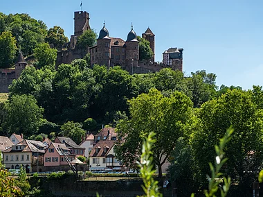 Burg Wertheim am Main