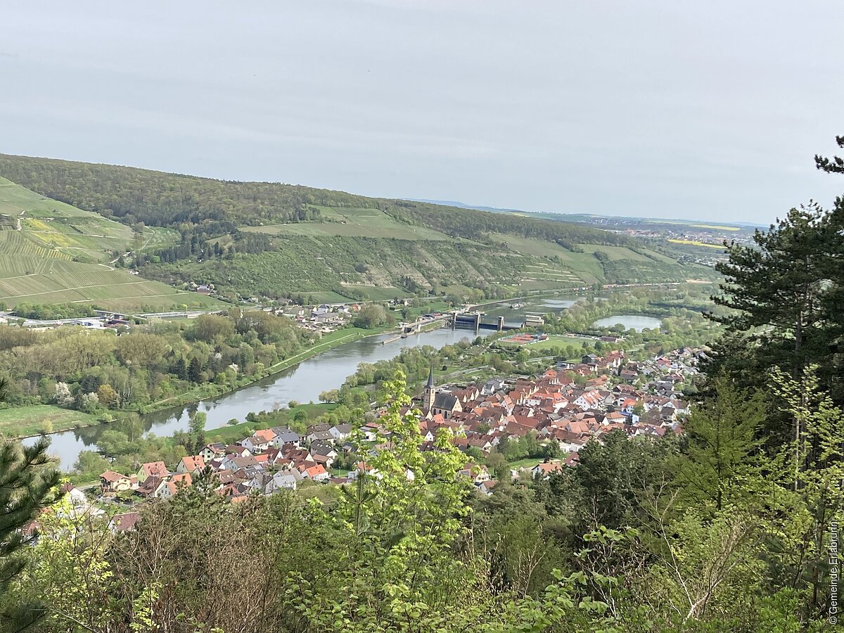 Blick auf den Ort (Erlabrunn, Fränkisches weinland)